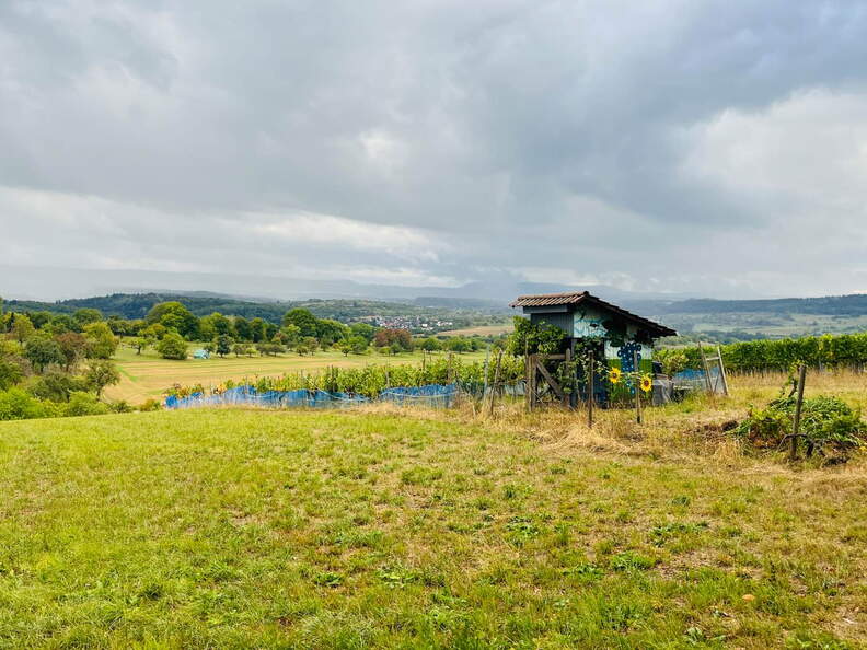 22-09-10 17-50-42 1968